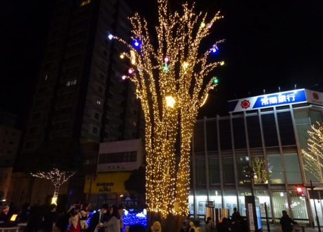 DSC09081